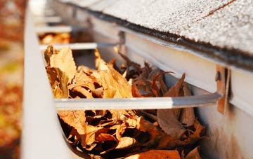 Cottam gutter cleaning companies