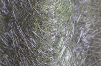 Cottam fibreglass roof work